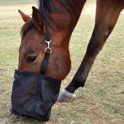 Cashel Company Feed Rite Bag