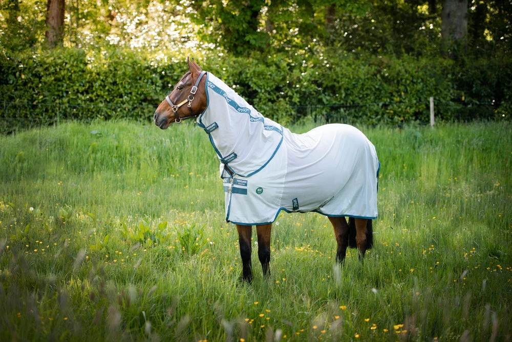Horseware Ireland Amigo AmEco Bug Rug
