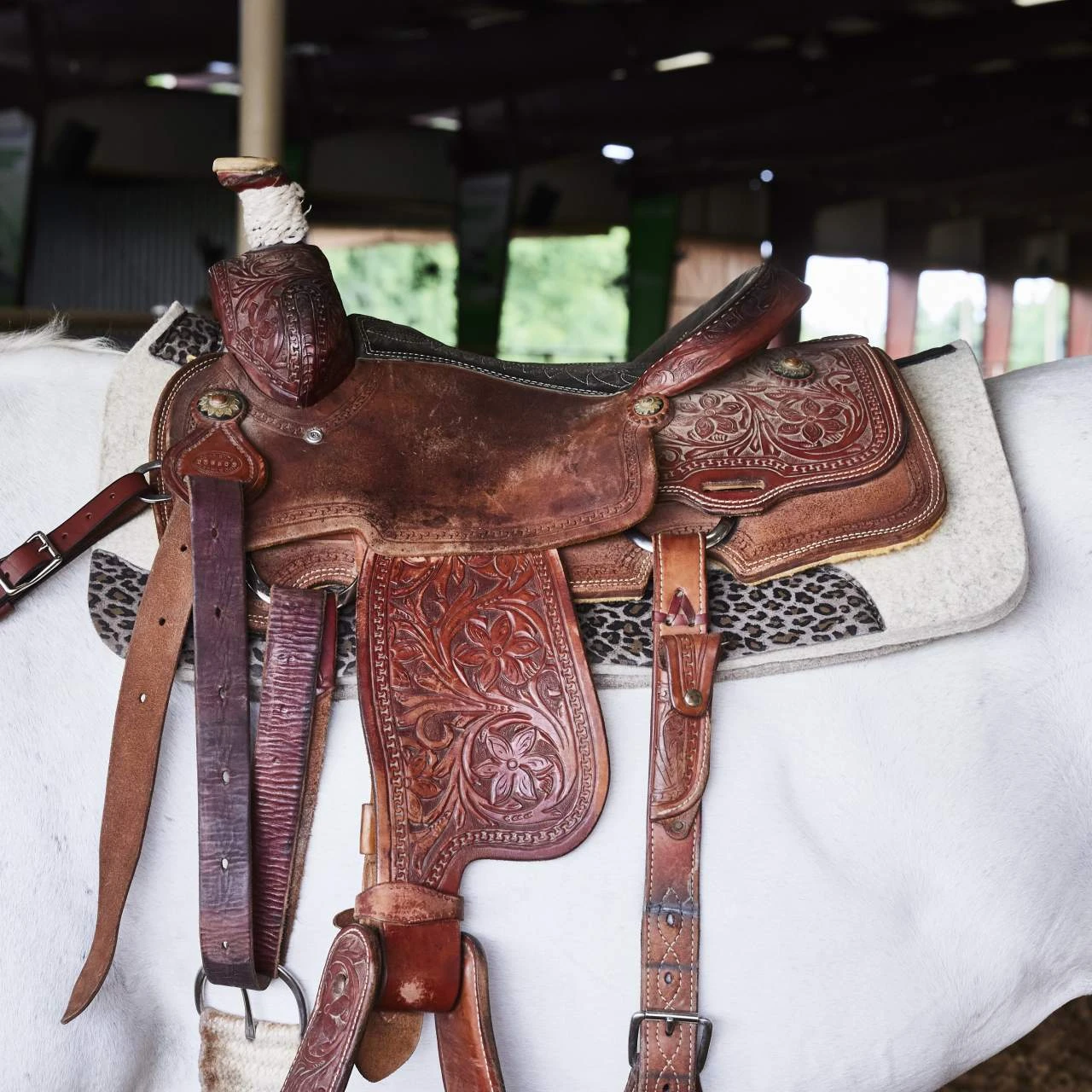 5 Star Equine Products Supplies Inc. 5 The Barrel Racer 7/8 Natural Felt Saddle Pad With Cheetah Wear Leathers - Image 4