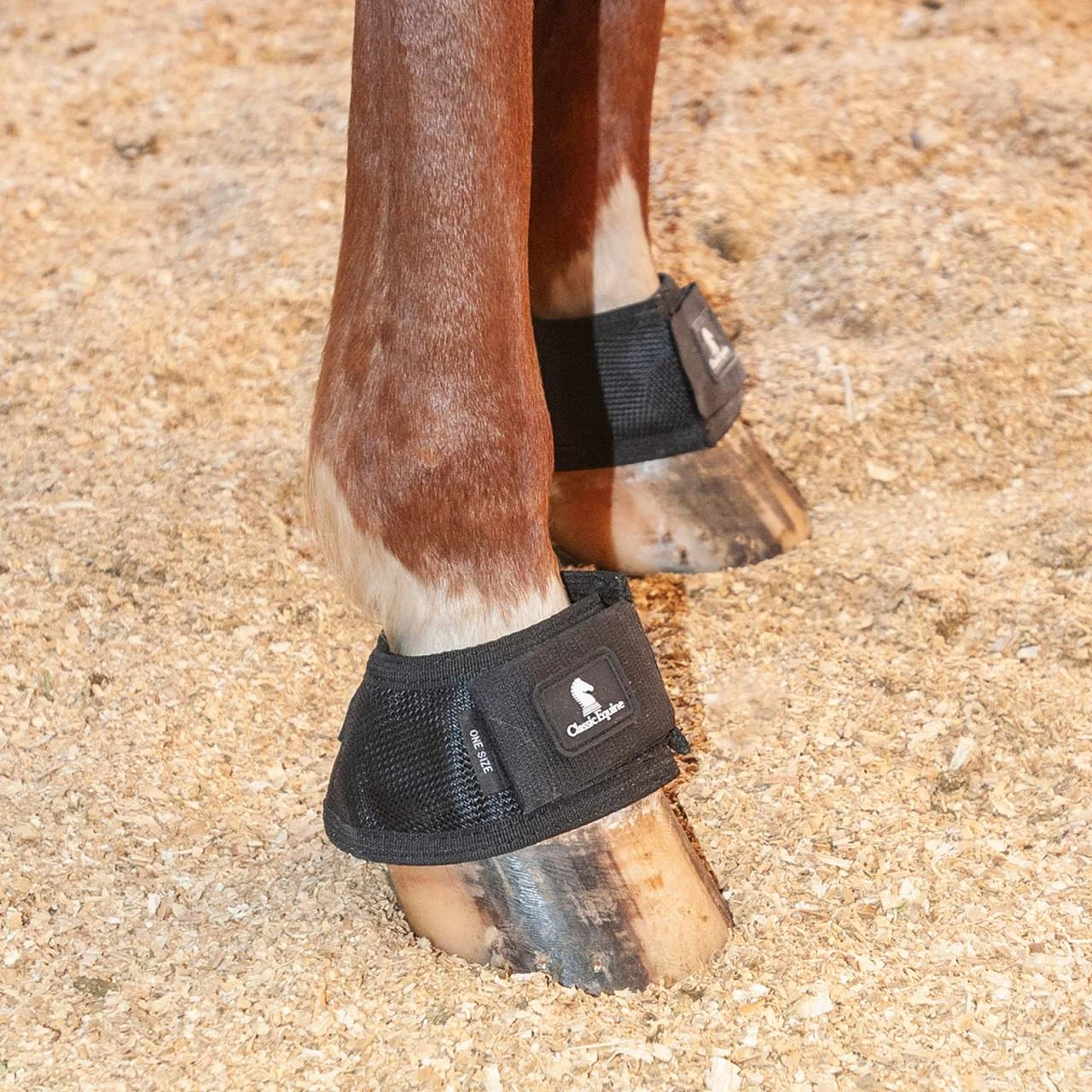 Classic Classic Equine Black MagNTX Magnetic Bell Boot - Image 2